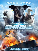 久久久久久久网